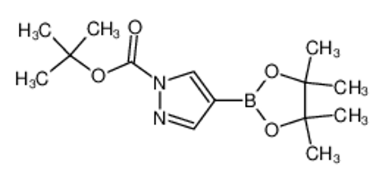 Picture of 1-Boc-4-pyrazoleboronic Acid Pinacol Ester
