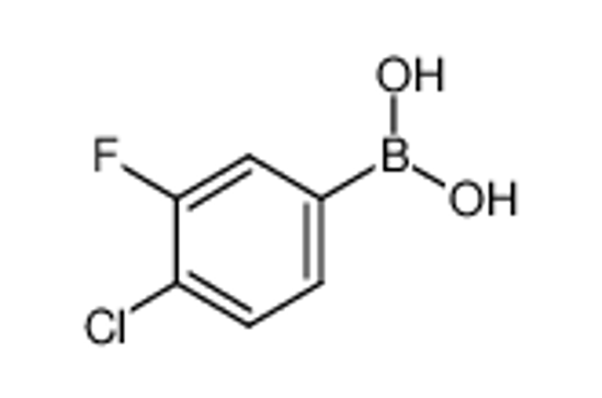 Picture of 4-Chloro-3-fluorophenylboronic acid