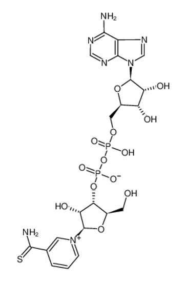 Picture of THIONICOTINAMIDE ADENINE DINUCLEOTIDE