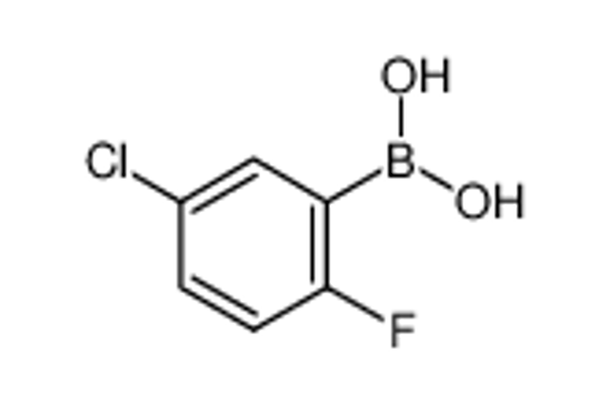 Изображение (5-chloro-2-fluorophenyl)boronic acid