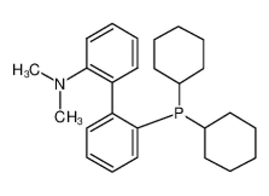 Picture of 2-(2-dicyclohexylphosphanylphenyl)-N,N-dimethylaniline