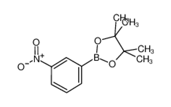 Picture of 4,4,5,5-Tetramethyl-2-(3-nitrophenyl)-1,3,2-dioxaborolane