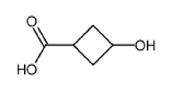 Picture of 3-HYDROXYCYCLOBUTANECARBOXYLIC ACID