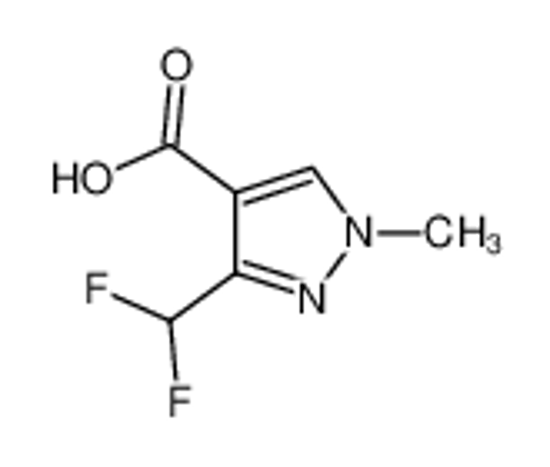 Picture of 3-(difluoromethyl)-1-methylpyrazole-4-carboxylic acid