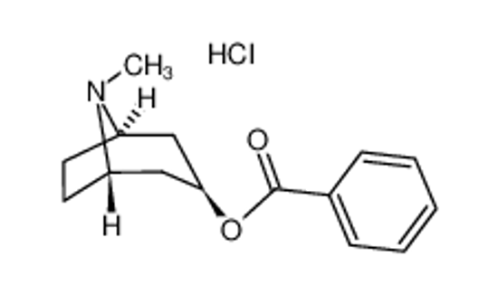 Picture of tropacocaine hydrochloride