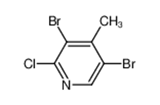 Изображение 2-Chloro-3,5-dibromo-4-methylpyridine