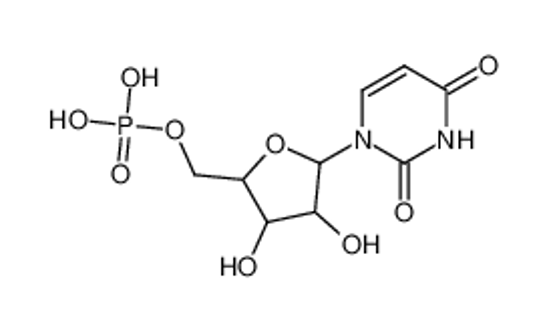 Picture of [5-(2,4-dioxopyrimidin-1-yl)-3,4-dihydroxyoxolan-2-yl]methyl dihydrogen phosphate