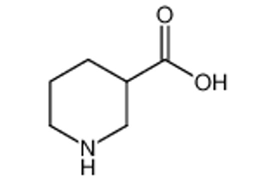 Picture of nipecotic acid