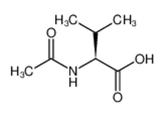 Picture of <i>N</i>-Acetyl-<small>L</small>-valine
