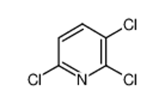 Picture of 2,3,6-Trichloropyridine