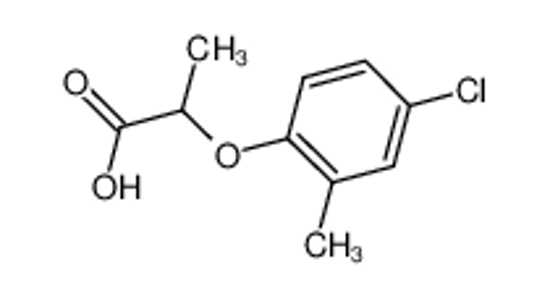 Picture of MECOPROP