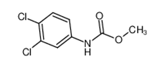 Picture of swep