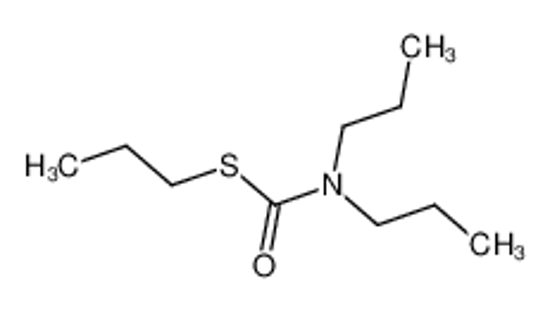 Picture of vernolate