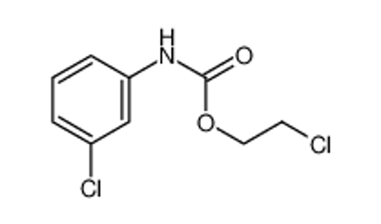 Picture of CEPC