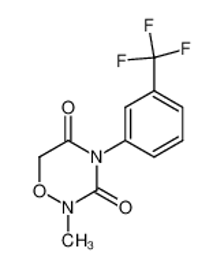 Изображение 2-methyl-4-(3-trifluoromethyl-phenyl)-[1,2,4]oxadiazinane-3,5-dione