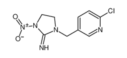 Show details for (E)-imidacloprid