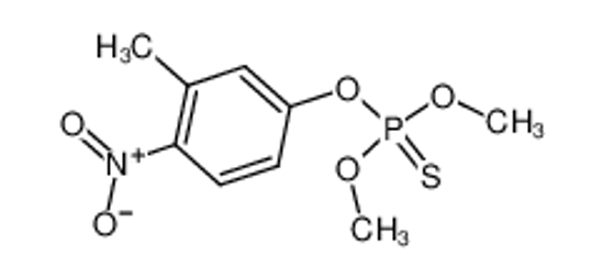 Picture of fenitrothion
