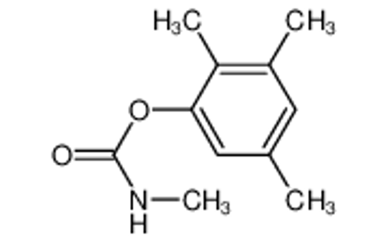Picture of 2,3,5-trimethylphenyl methylcarbamate
