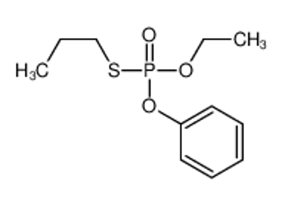 Picture of heterophos