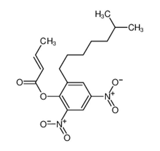 Изображение Dinocap