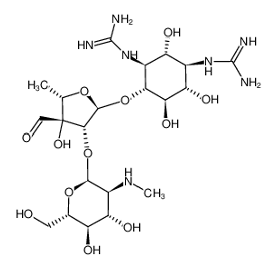 Изображение streptomycin