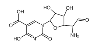 Изображение 1-[(2R,3R,4S,5R)-5-(1-amino-2-oxoethyl)-3,4-dihydroxyoxolan-2-yl]-2,4-dioxopyrimidine-5-carboxylic acid