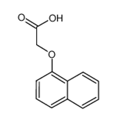 Imagem de 1-naphthyloxyacetic acid