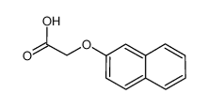 Imagem de 2-naphthyloxyacetic acid