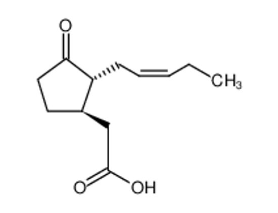 Picture of jasmonic acid