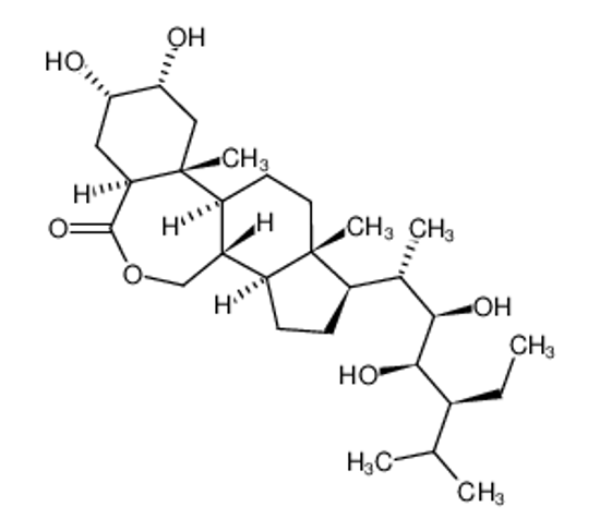 Picture of brassinolide-ethyl