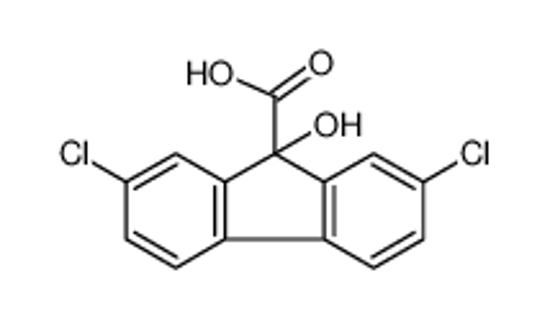 Picture of dichlorflurenol