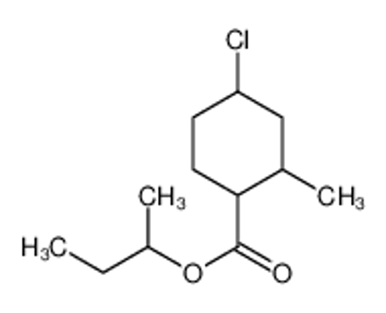 Picture of sec-Butyl 4-chloro-2-methylcyclohexanecarboxylate