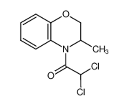 Show details for benoxacor