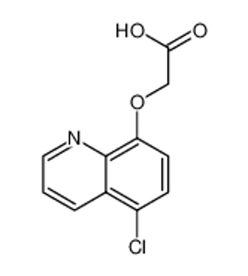 Picture of cloquintocet