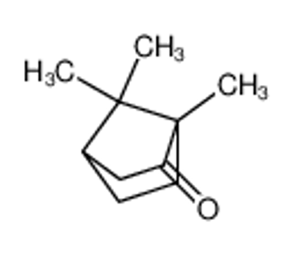Picture of (R)-camphor