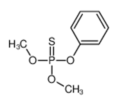 Picture of jiajizengxiaolin