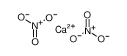 Show details for calcium nitrate