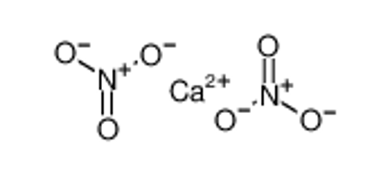 Picture of calcium nitrate