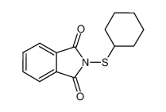 Изображение Cyclohexylthiophthalimide
