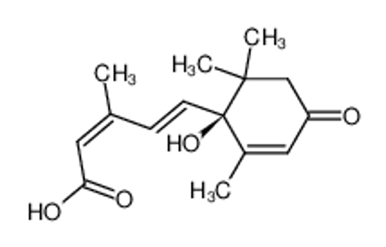 Picture of Abscisic acid