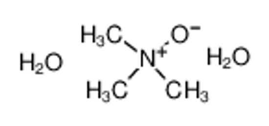 Picture of Trimethylamine N-oxide dihydrate