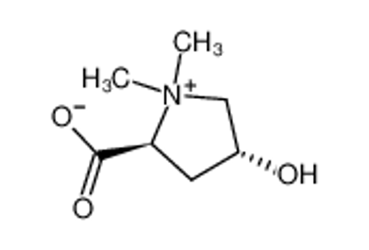 Mostrar detalhes para trans-4-hydroxy-L-proline betaine