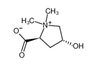 Show details for trans-4-hydroxy-L-proline betaine