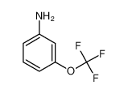 Picture of 3-(Trifluoromethoxy)aniline