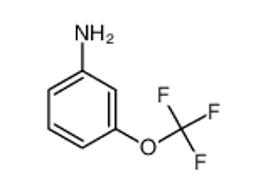 Picture of 3-(Trifluoromethoxy)aniline