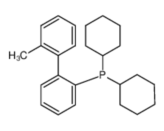 Picture of dicyclohexyl-[2-(2-methylphenyl)phenyl]phosphane