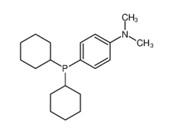 Picture of 4-dicyclohexylphosphanyl-N,N-dimethylaniline