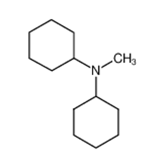 Picture of N,N-Dicyclohexylmethylamine