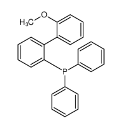 Picture of (2'-Methoxy-[1,1'-biphenyl]-2-yl)diphenylphosphine