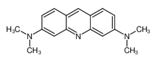 Изображение acridine orange